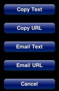 iPhone Application - iCopy - Copy and Paste