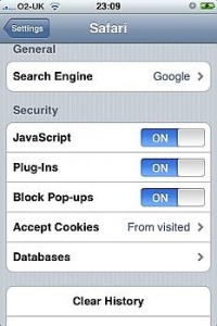 Databases option in Safari
