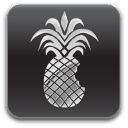 Jailbreak iOS 4 on iPhone 3G 
