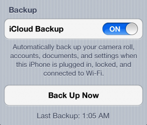 ios5-settings_icloud_backup_now