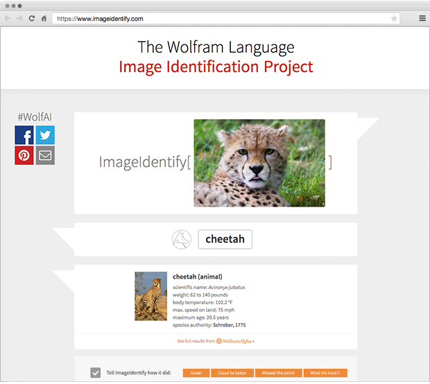 Wolfram Image Identify