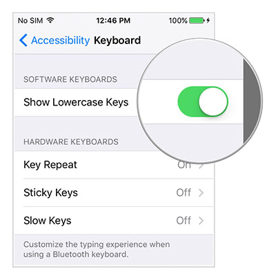 iOS 9 - Settings - Lowercase keys