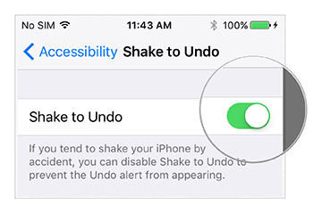 iOS 9 - Settings - Shake to Undo