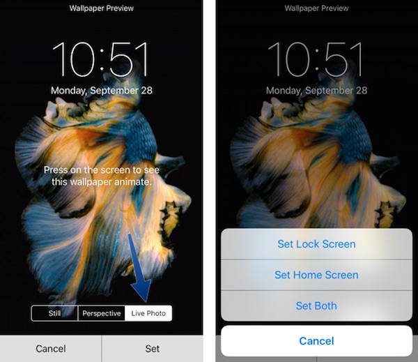 How To Set And Use Live Wallpapers On Iphone 6s - How To Put Live Wallpaper On Iphone Se
