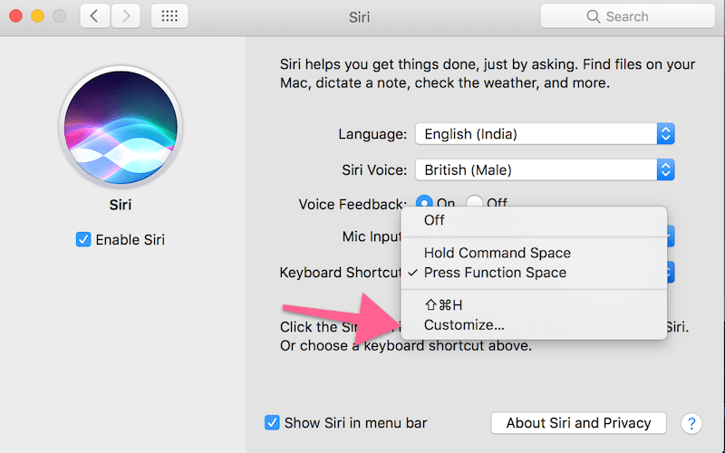 how to use siri on mac 2