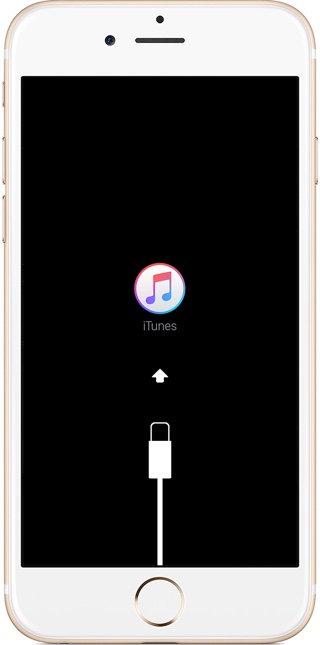 iPhone - Recovery Mode - Connect to iTunes screen