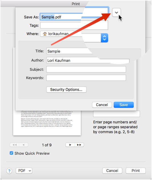 Open the Save dialog box to select location for PDF file.