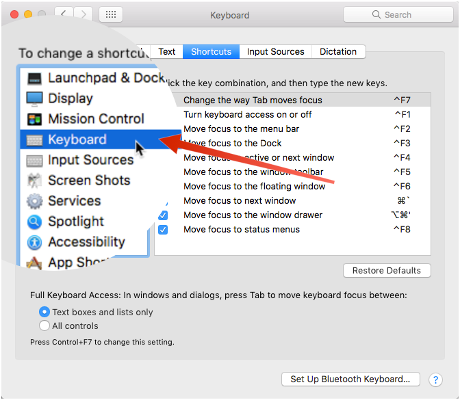 Click Keyboard in the left pane on the System Preferences dialog box.