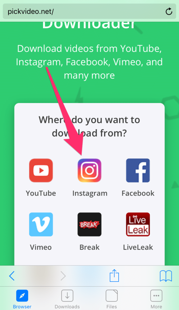 pickvideo.net online instagram video downloader