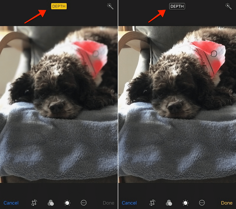 iOS 11 Depth Effect Toggle in Photos App