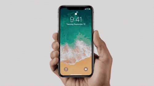 iPhone X Apple Pay Gesture GIF