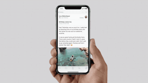 iPhone X Go to Home Gesture GIF
