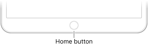 iPad Home button