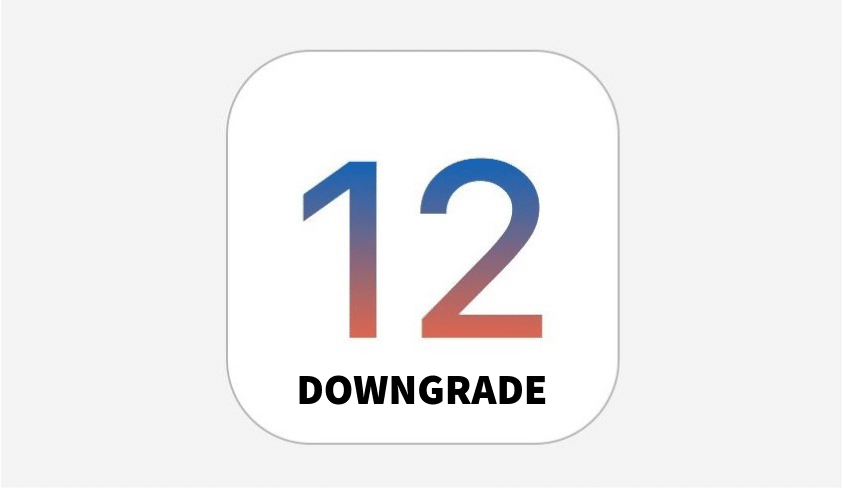 Downgrade iOS 12
