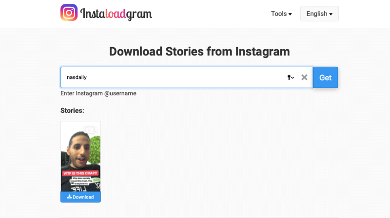 Download Instagram Stories InstaLoadGram
