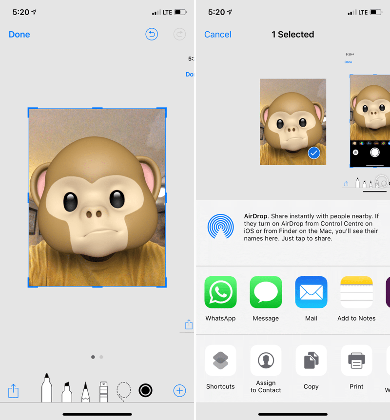 How to Share Animoji or Memoji With Any App iPhone 4