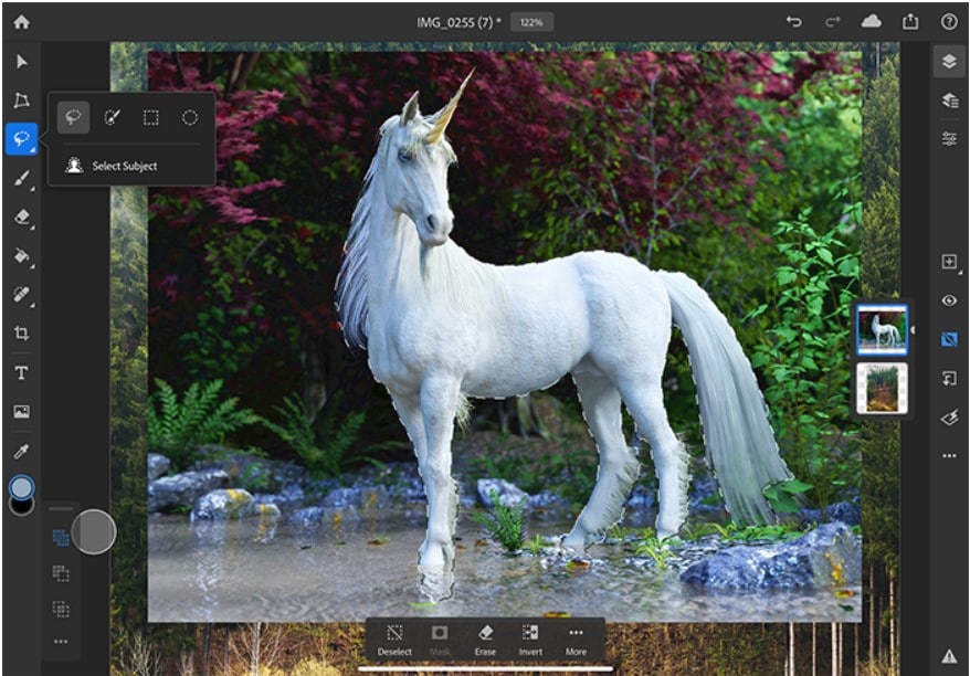 Select Subject Tool In Adobe Photoshop For iPadOS