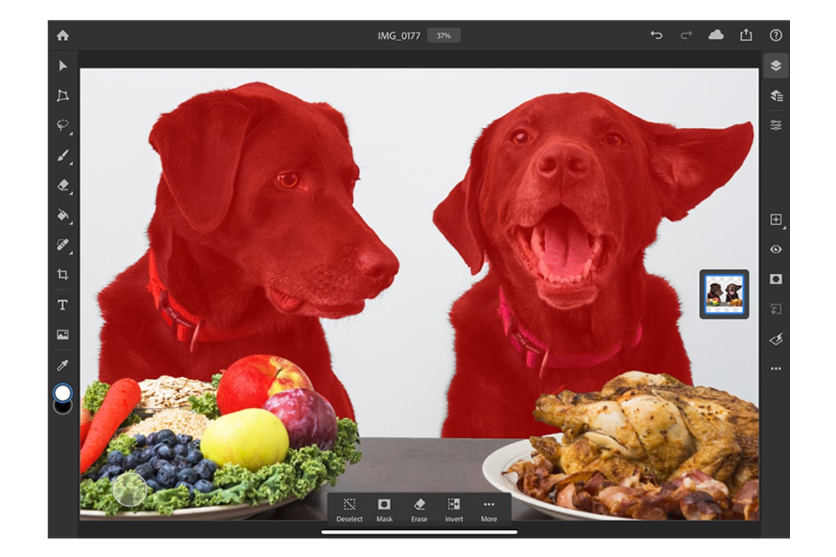 Adobe Photoshop Select Subject feature for iPad