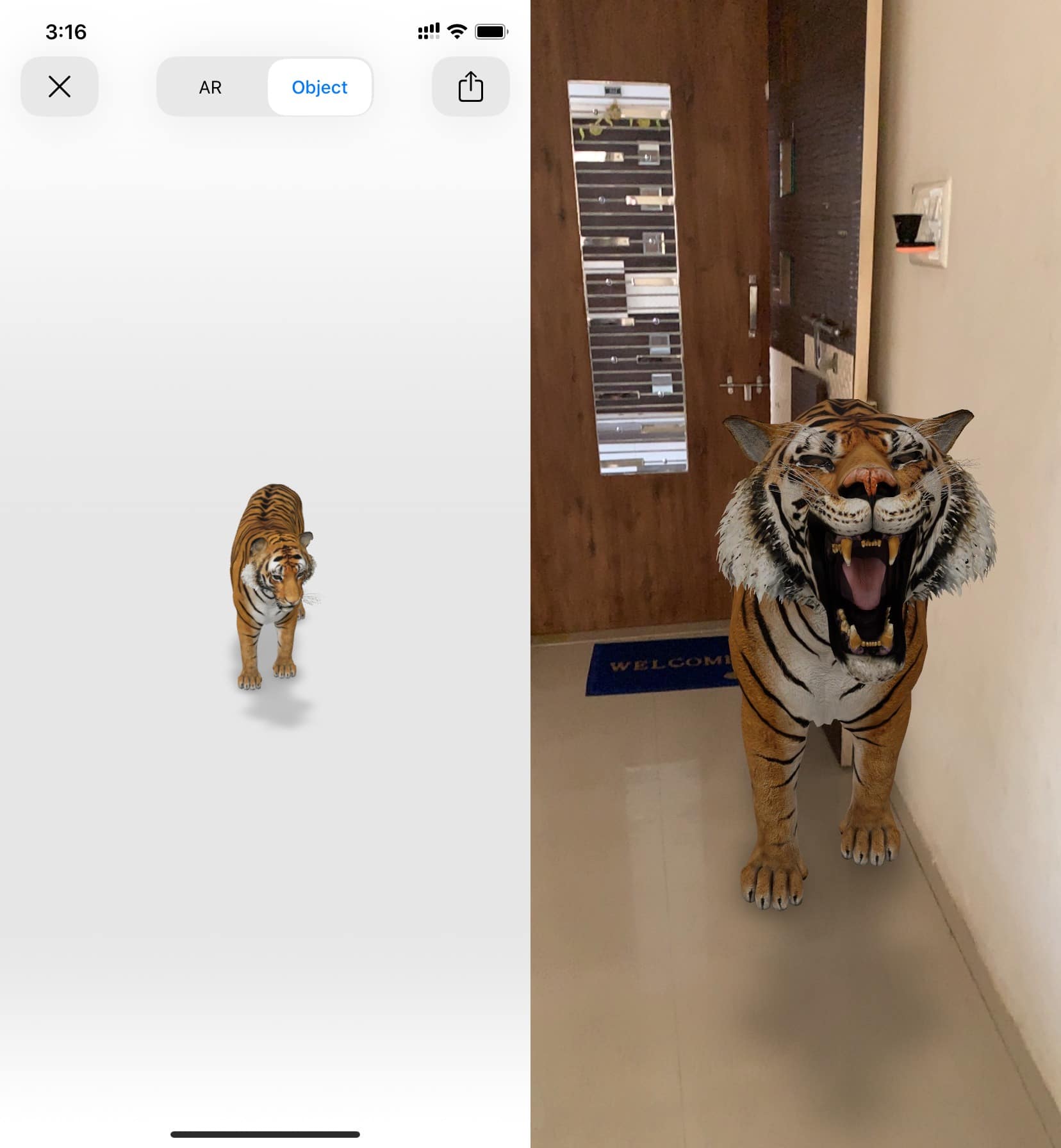 3d animals in living room