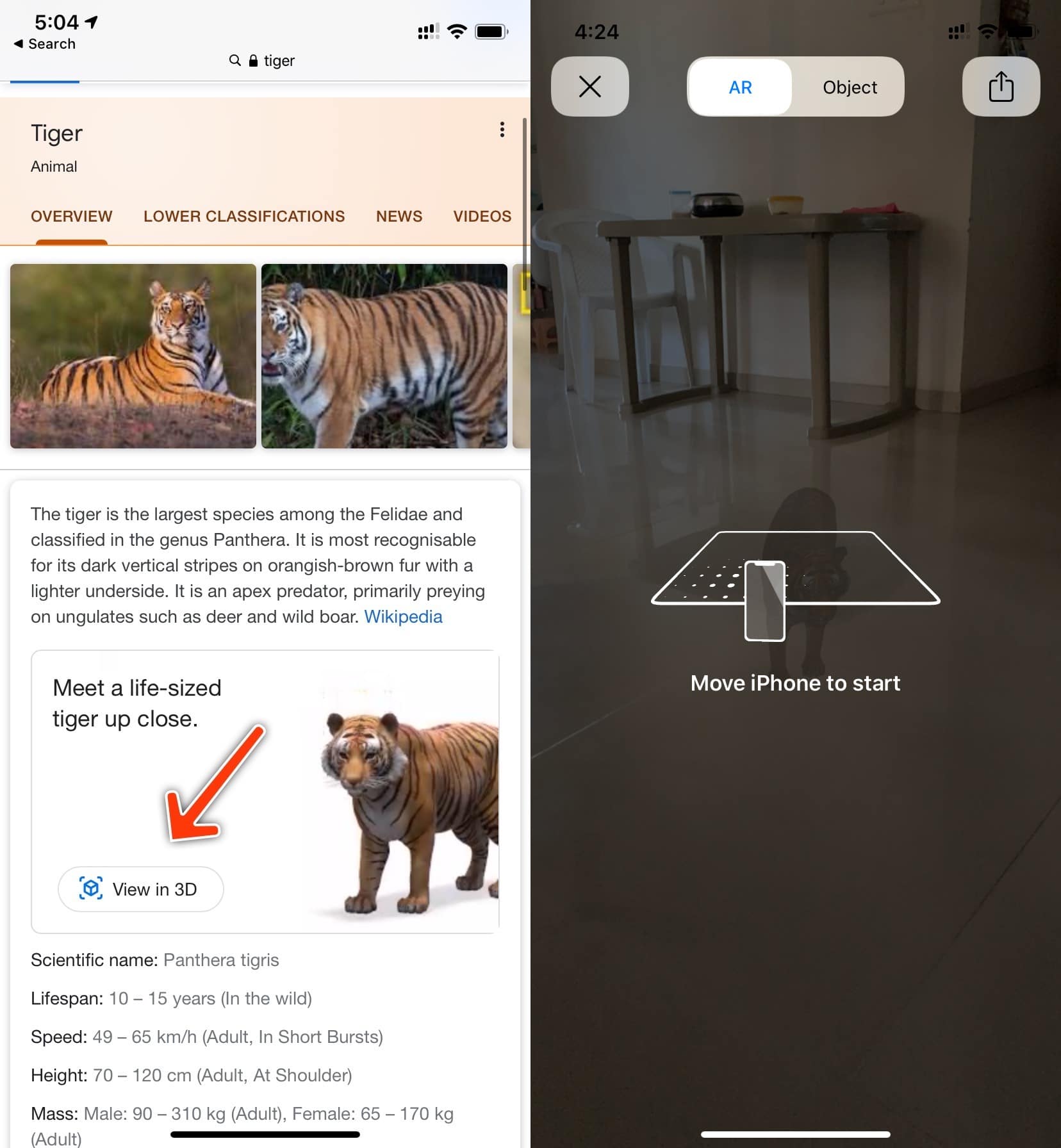 How to Use Your iPhone to Bring Life-Sized 3D Animals In Your Living Room