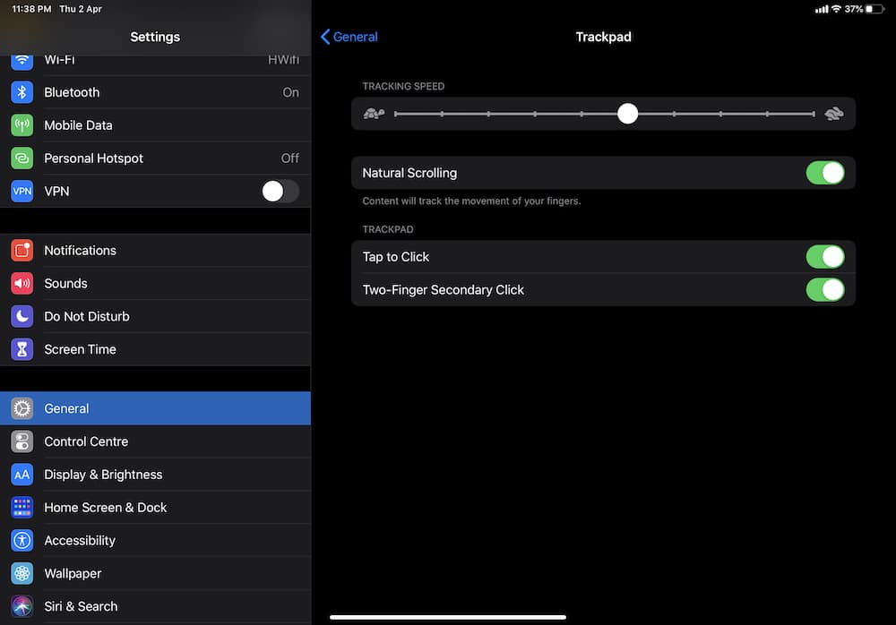 iPad - Trackpad - Settings Details