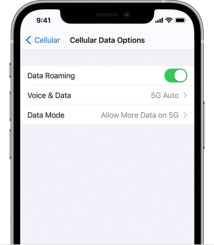 iPhone 12 5G Data Options