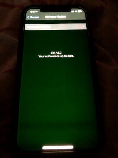 iPhone 12 Green Tint issue
