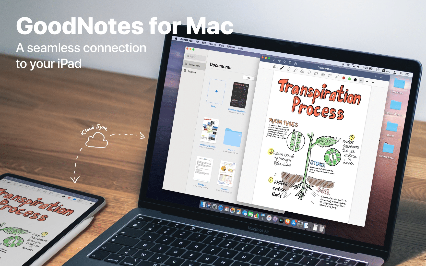 goodnotes for mac