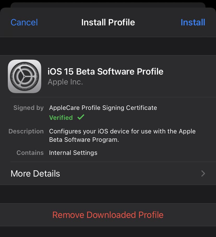 iOS 15 Beta Profile