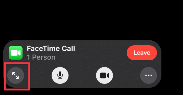 expand facetime screen