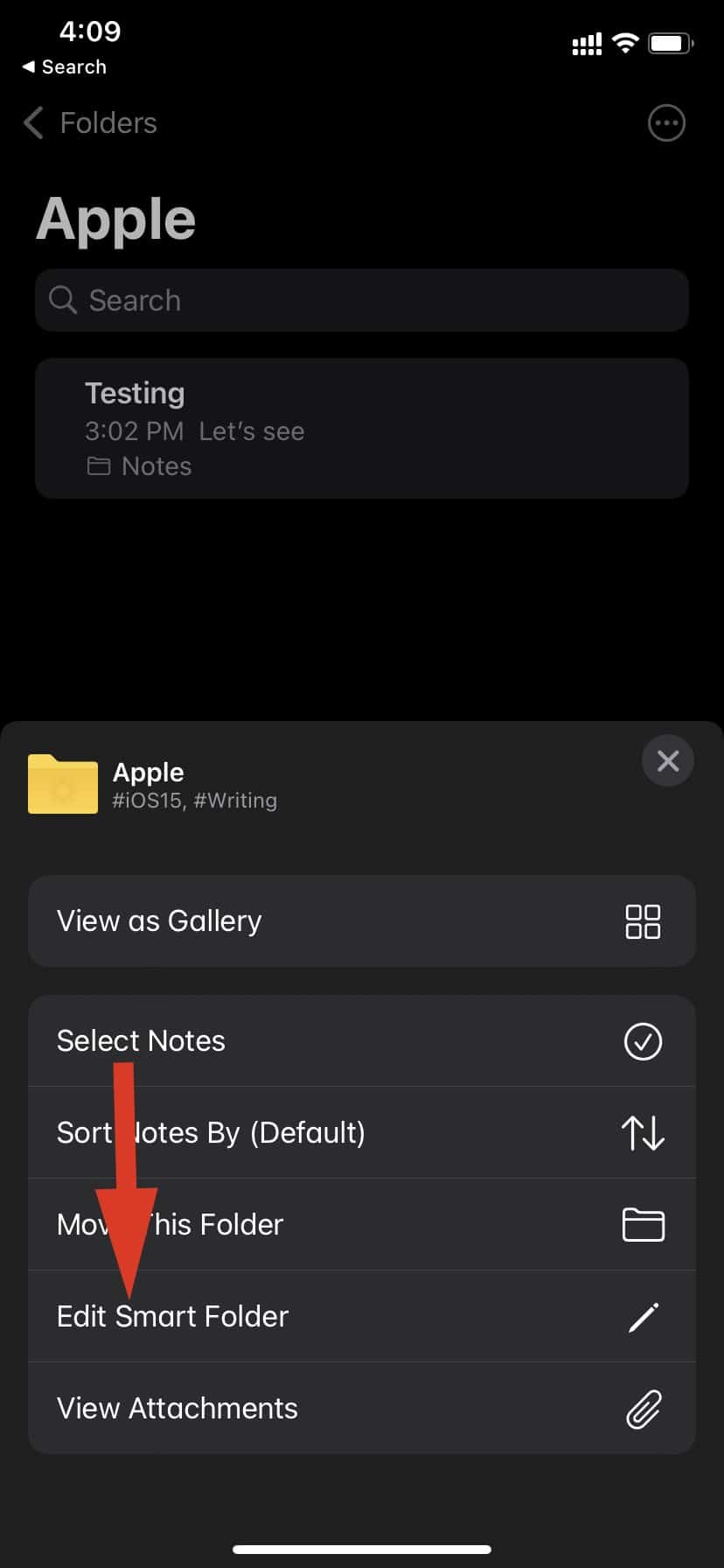 edit smart folder on iPhone