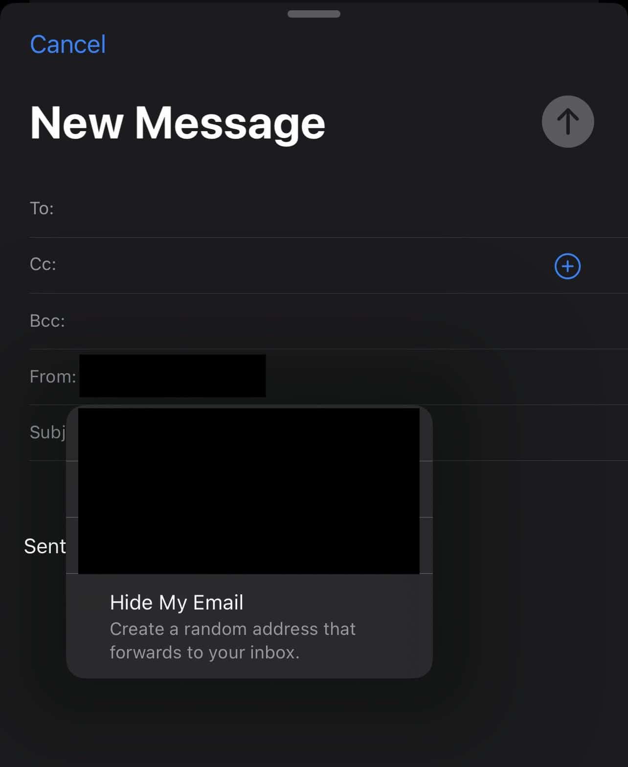 Hide My Email in Mail App