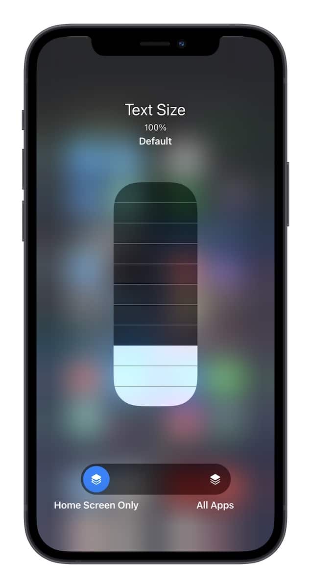 Adjust Home Screen Text Size on iPhone